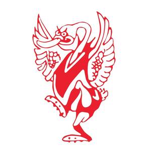 Ballarat Football Netball Club logo
